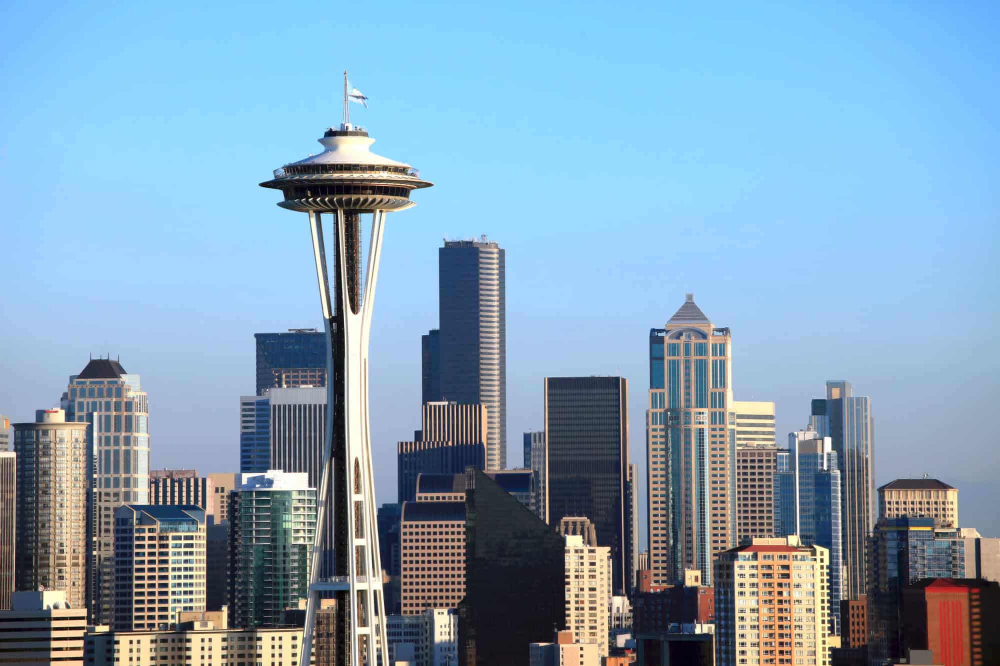 Seattle Needle, Seattle skyline